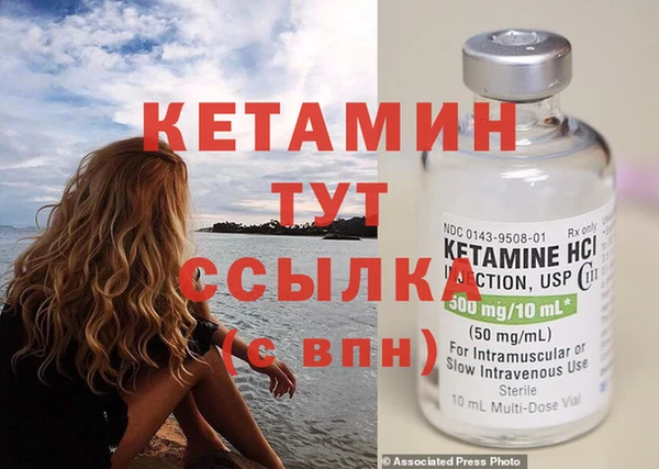 прущие грибы Надым