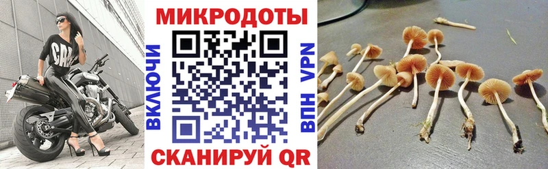 OMG ссылки  Новочебоксарск  Псилоцибиновые грибы GOLDEN TEACHER  цена  